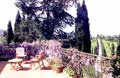 Villa Altoviti - fine Tuscan apartment, large garden and sun terrace. Vacation rental close to Florence.