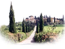 Villa Altoviti - fine Tuscan apartment, large garden and sun terrace. Vacation rental close to Florence.